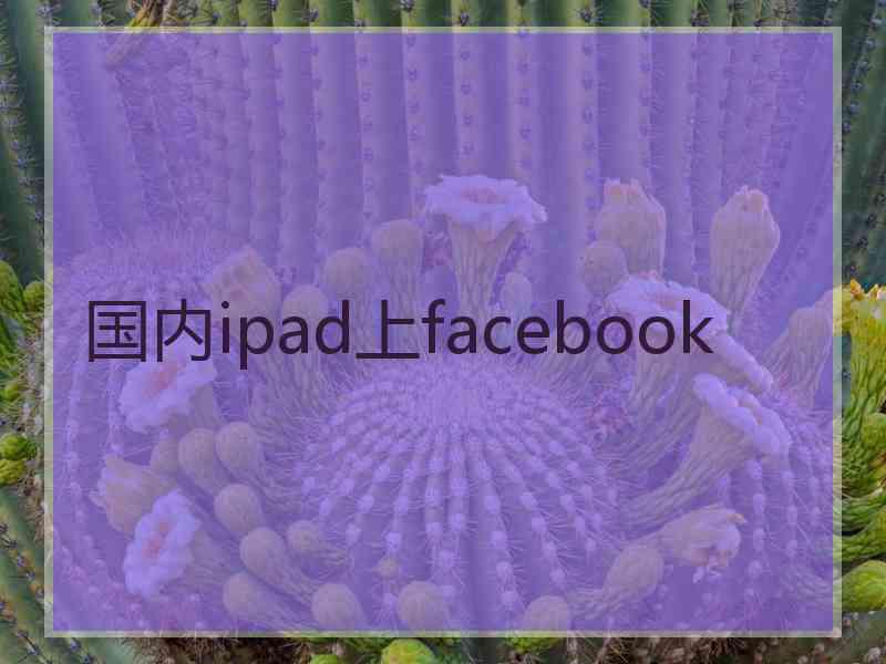 国内ipad上facebook