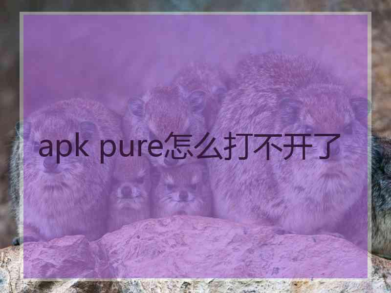 apk pure怎么打不开了