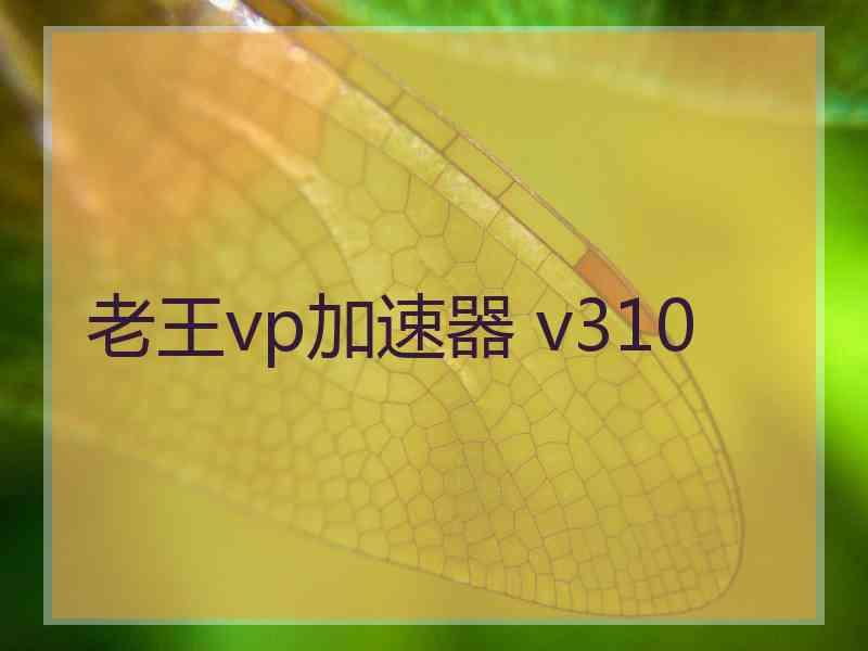 老王vp加速器 v310