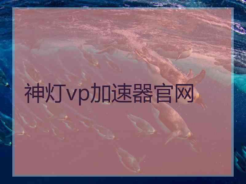 神灯vp加速器官网