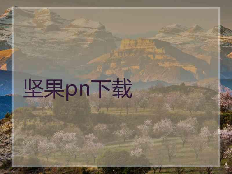 坚果pn下载