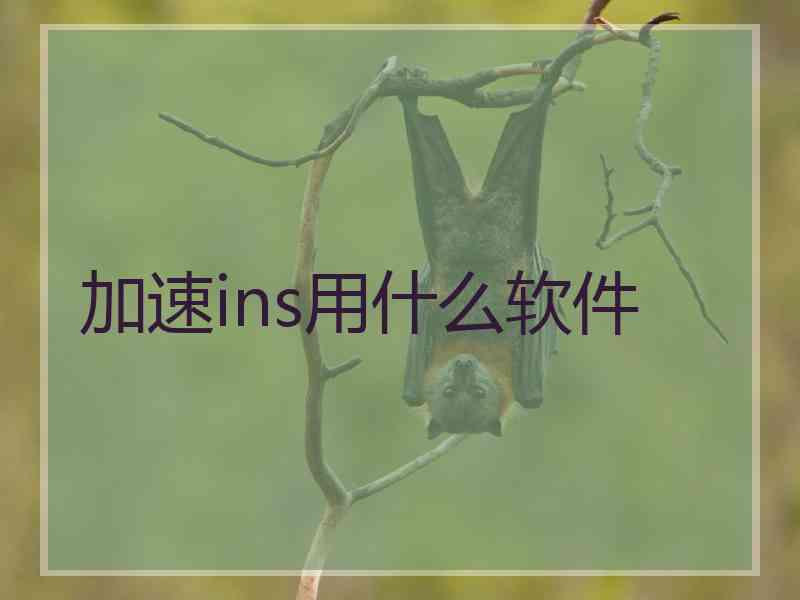 加速ins用什么软件