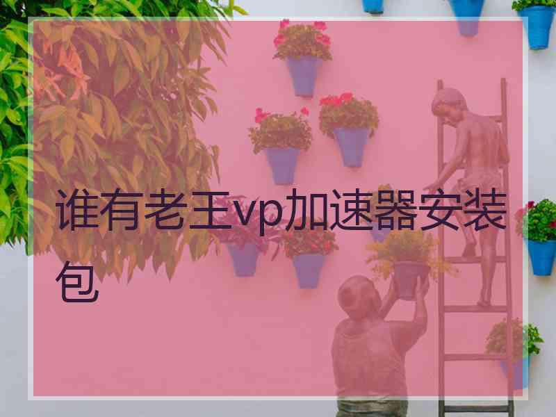 谁有老王vp加速器安装包