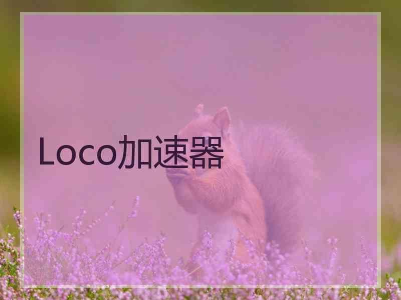 Loco加速器