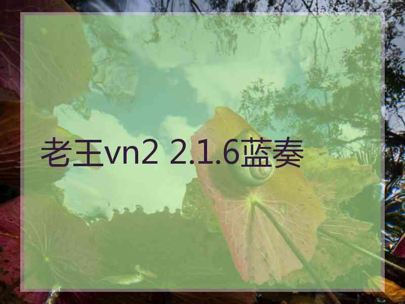 老王vn2 2.1.6蓝奏