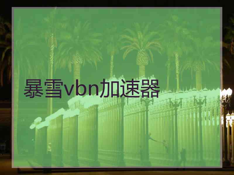 暴雪vbn加速器