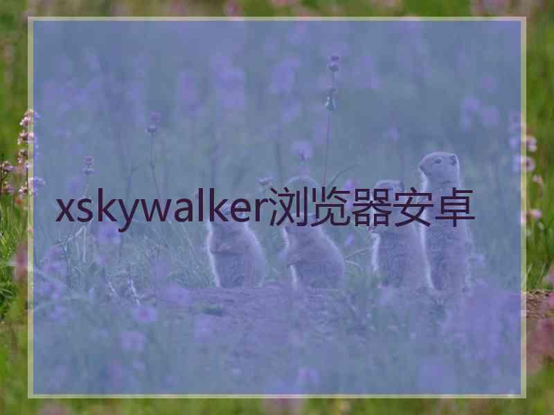 xskywalker浏览器安卓