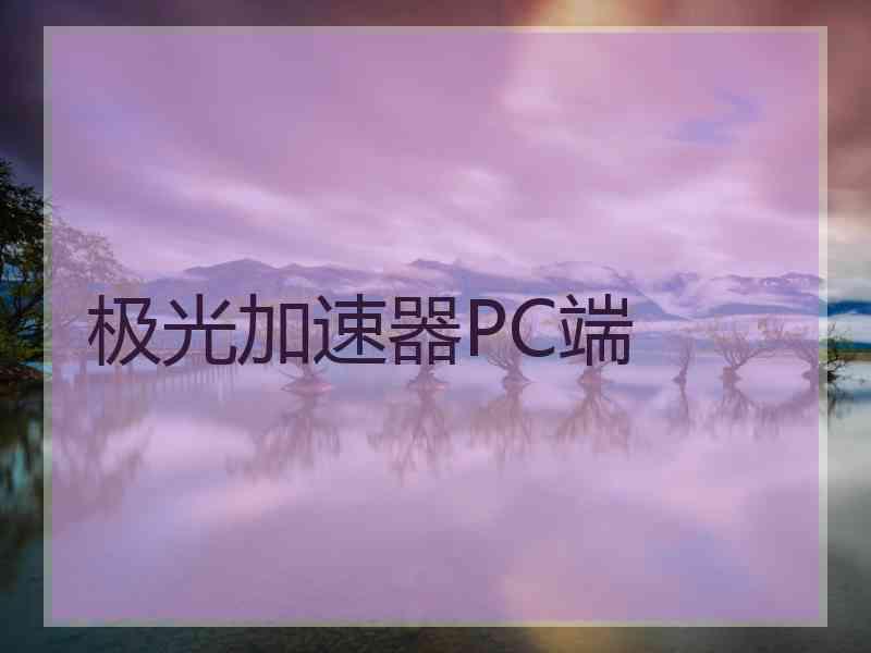 极光加速器PC端