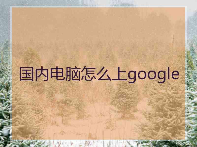 国内电脑怎么上google