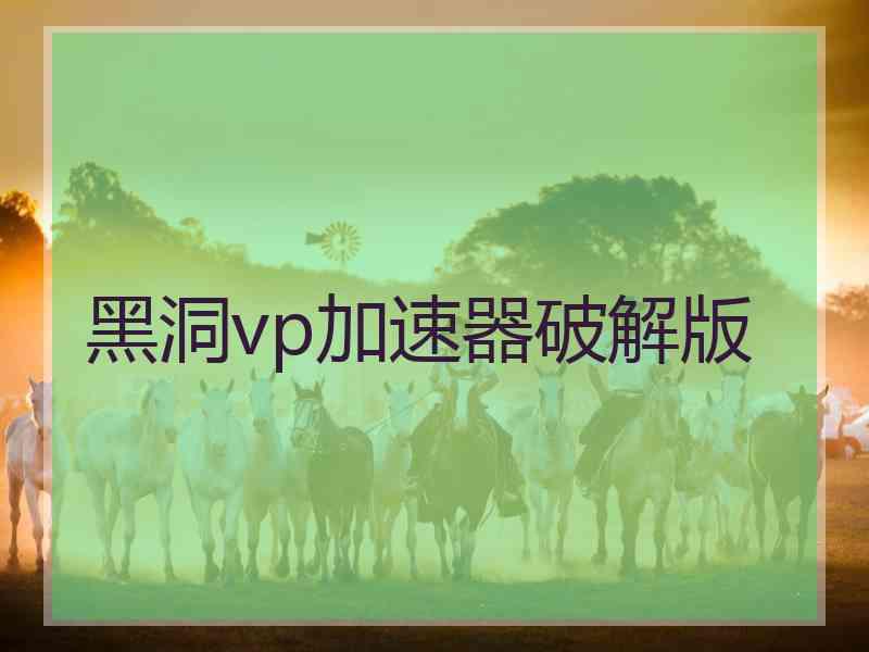 黑洞vp加速器破解版