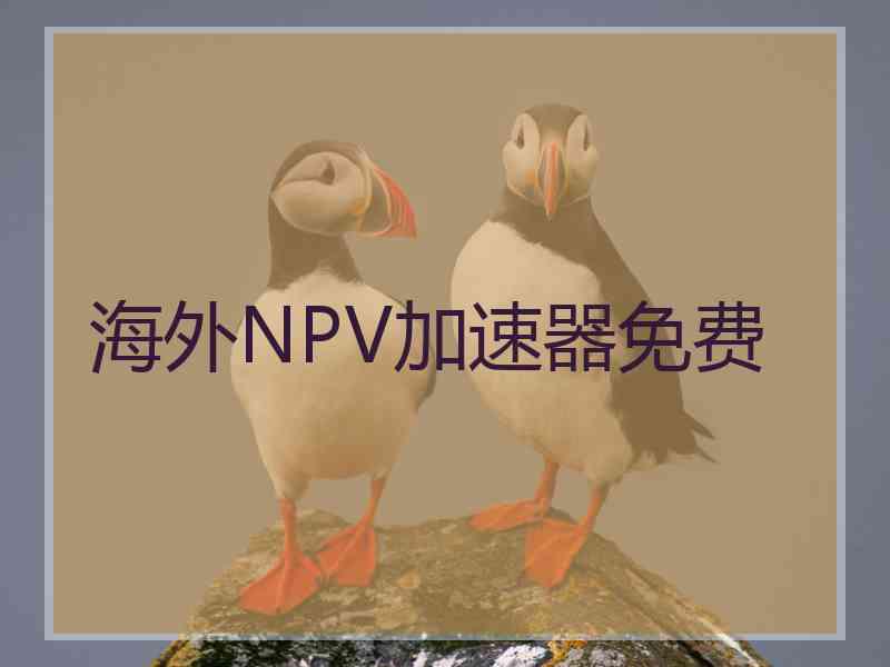 海外NPV加速器免费