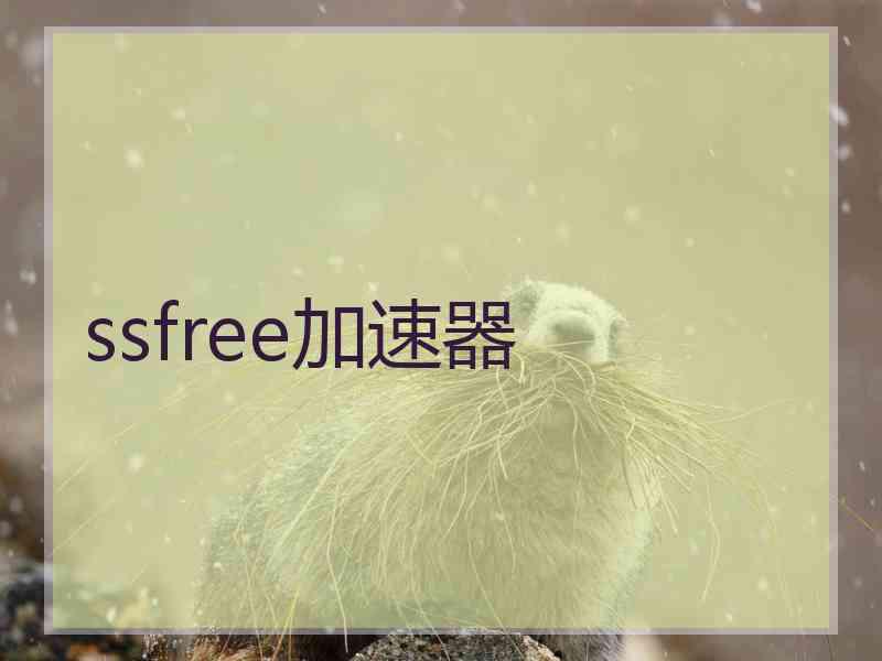 ssfree加速器