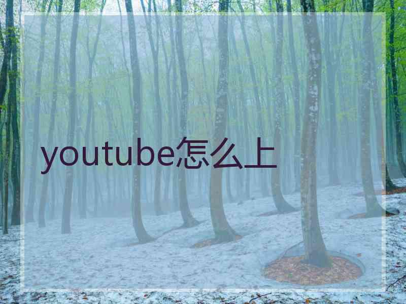 youtube怎么上