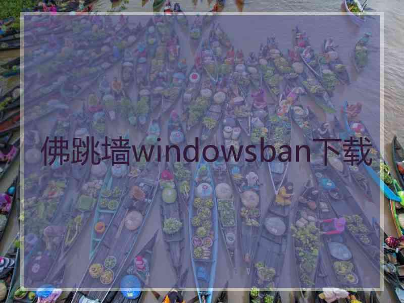 佛跳墙windowsban下载