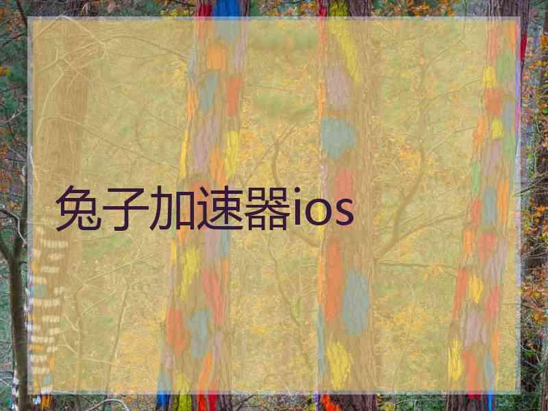 兔子加速器ios