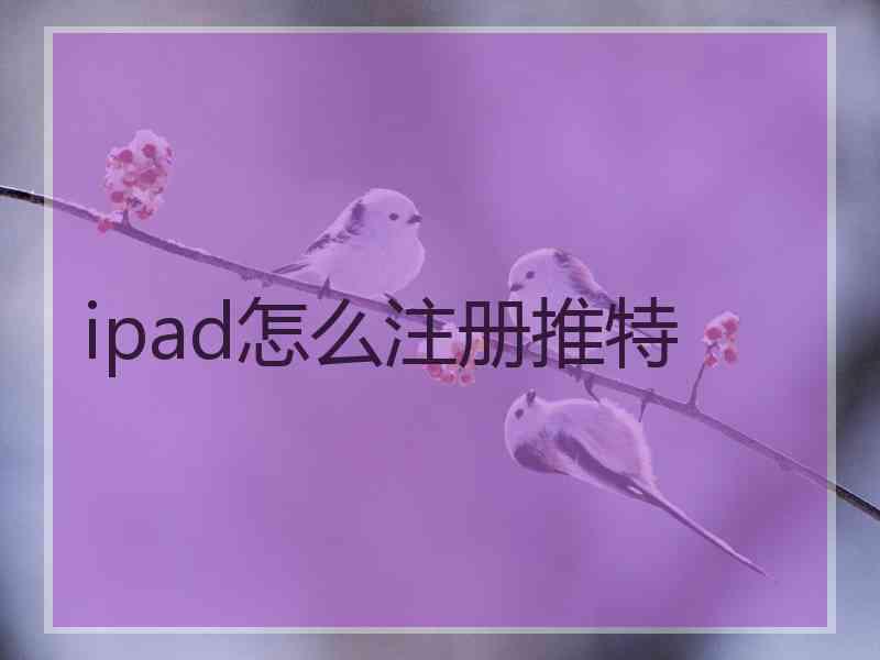 ipad怎么注册推特