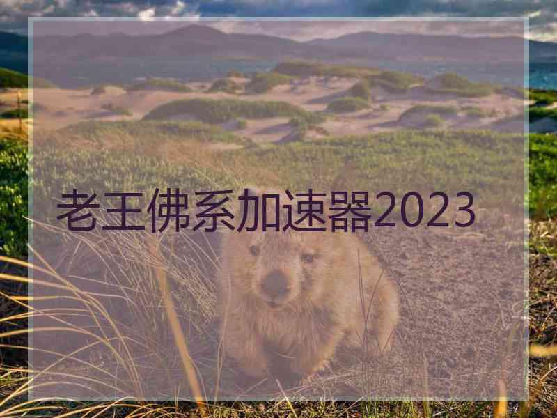 老王佛系加速器2023