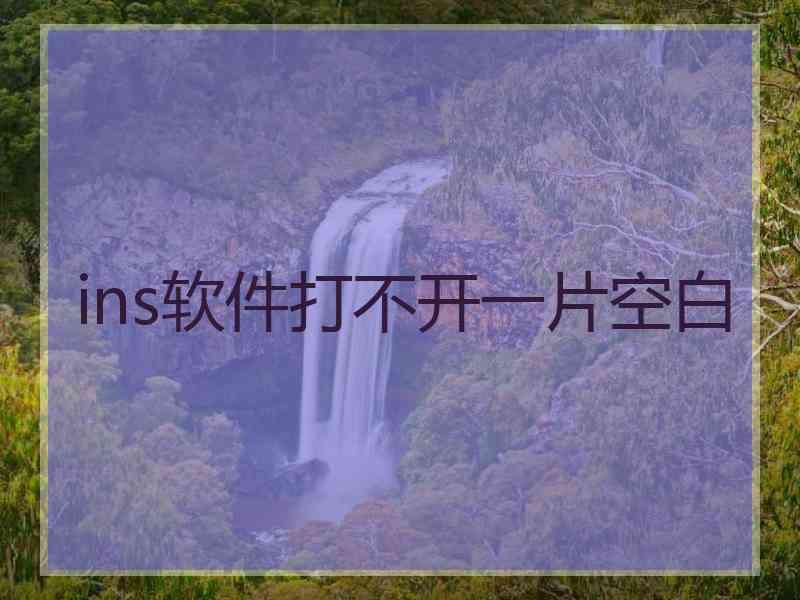 ins软件打不开一片空白