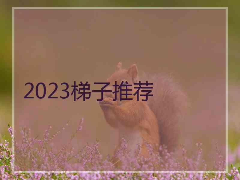 2023梯子推荐