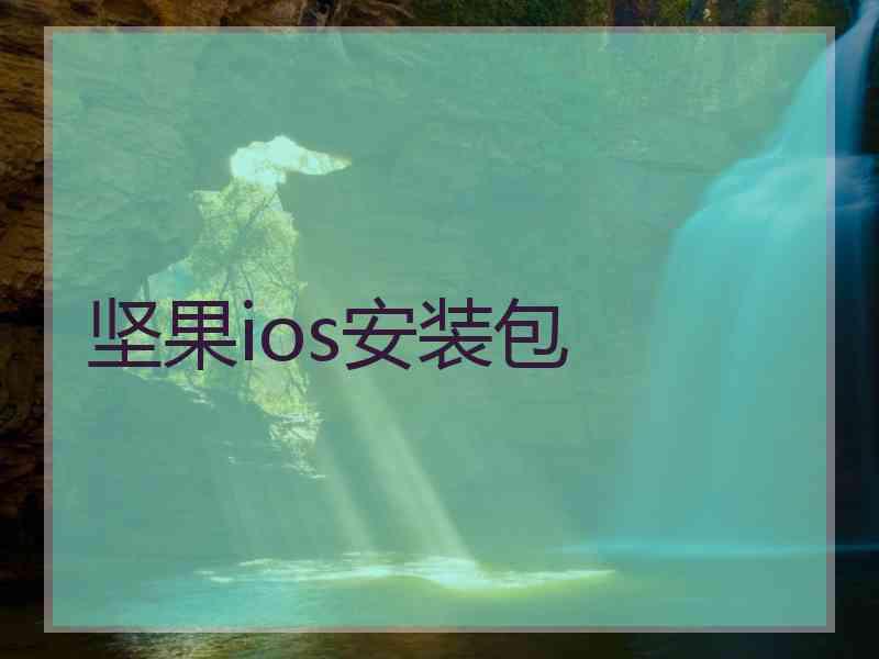 坚果ios安装包