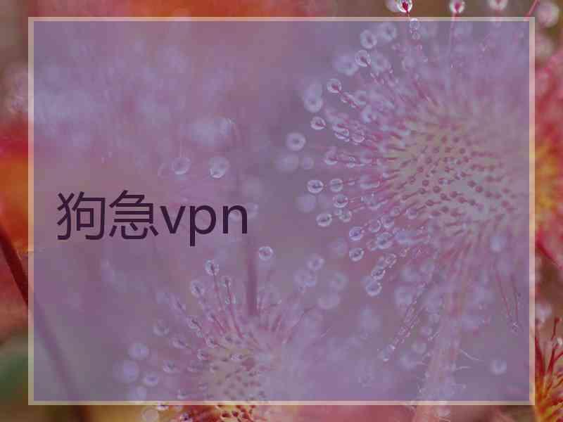 狗急vpn