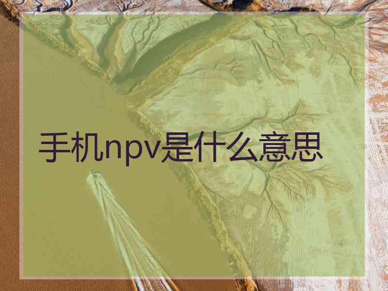 手机npv是什么意思