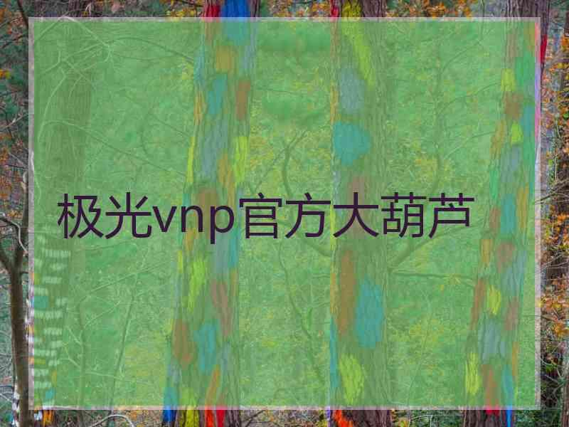 极光vnp官方大葫芦