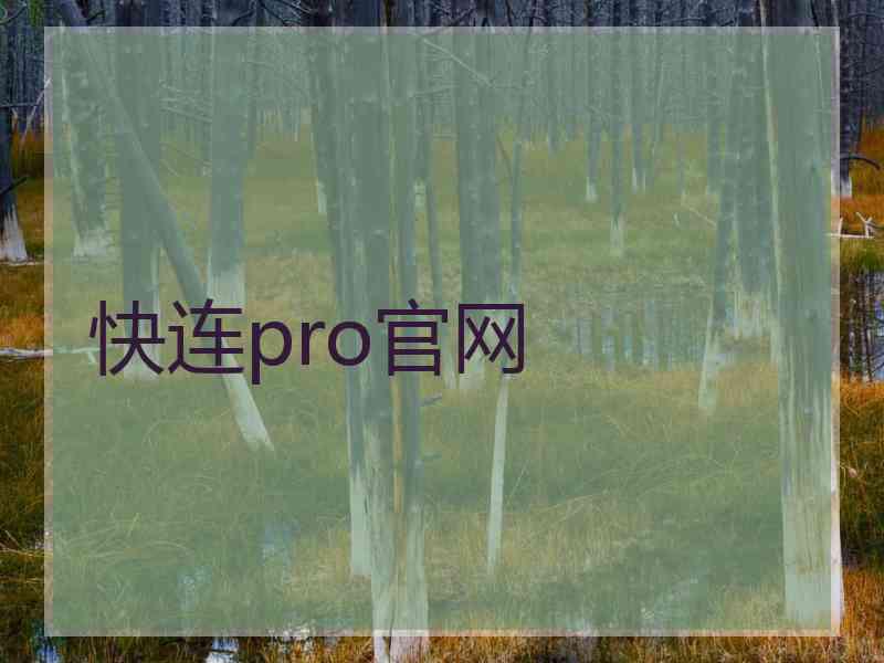 快连pro官网