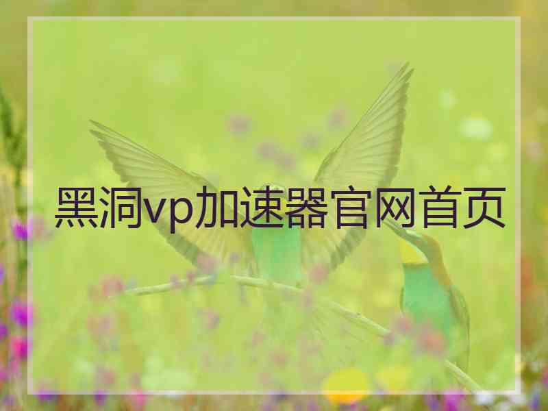 黑洞vp加速器官网首页