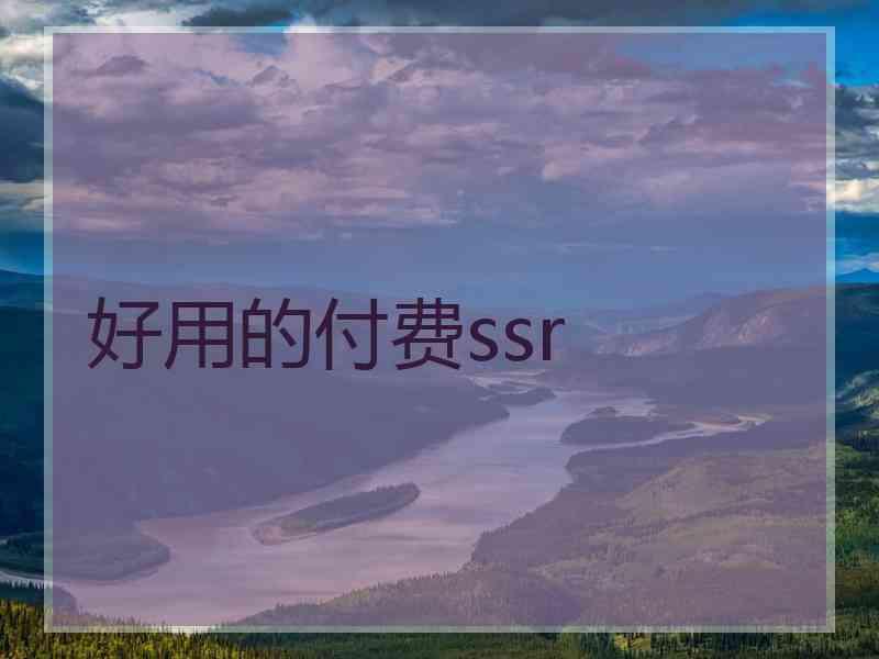 好用的付费ssr