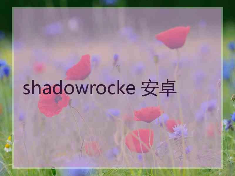 shadowrocke 安卓