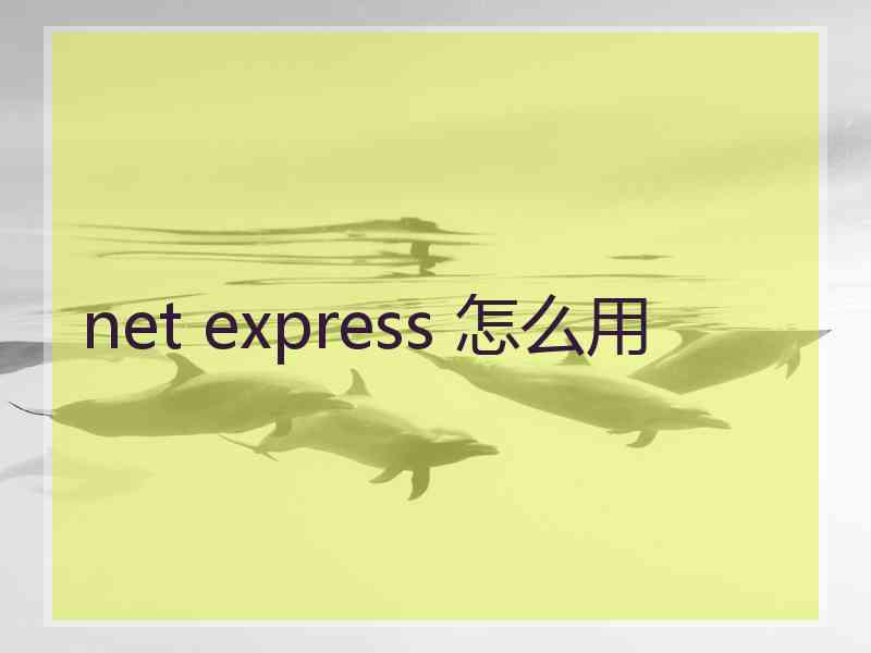 net express 怎么用