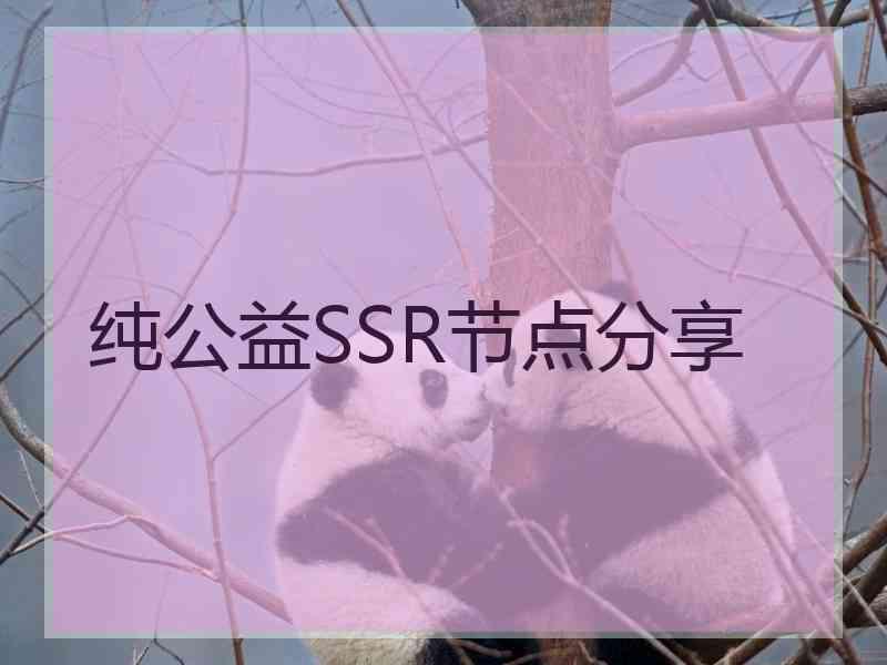 纯公益SSR节点分享