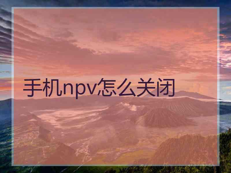 手机npv怎么关闭