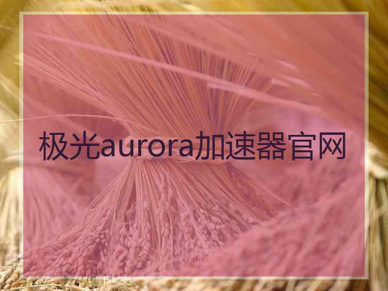 极光aurora加速器官网