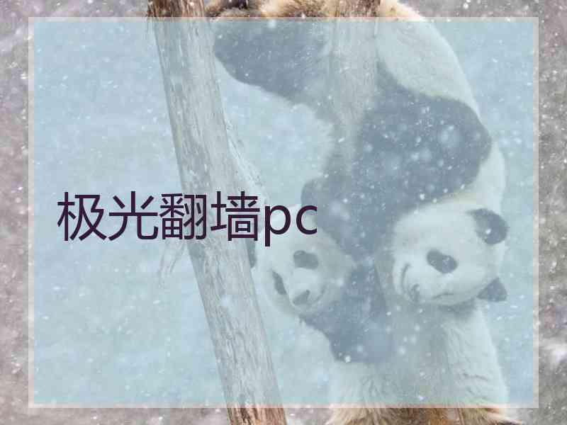 极光翻墙pc