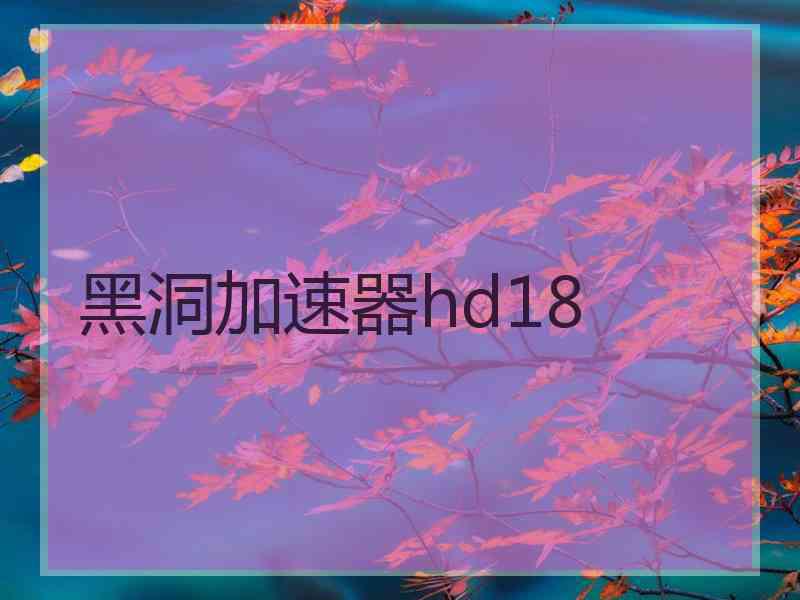 黑洞加速器hd18