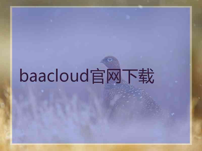 baacloud官网下载