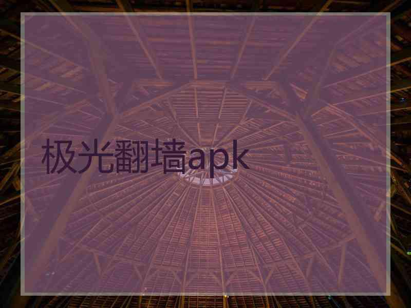 极光翻墙apk