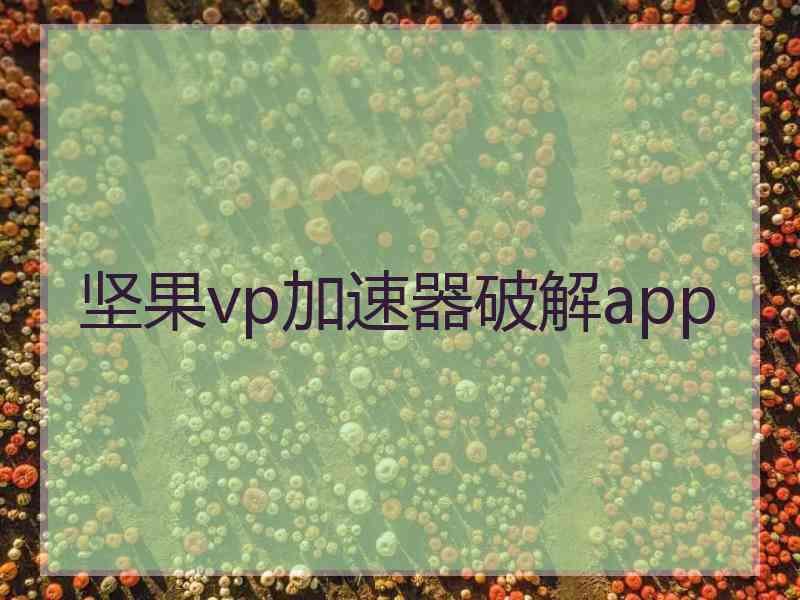 坚果vp加速器破解app