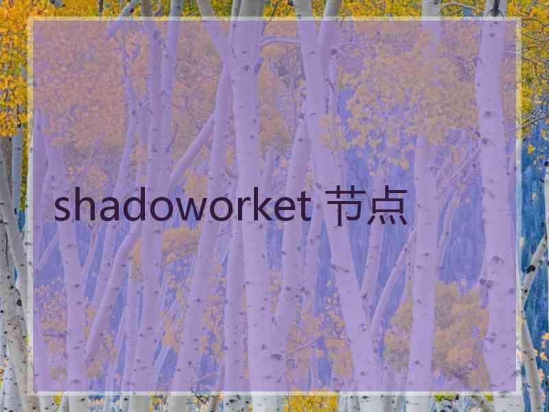 shadoworket 节点