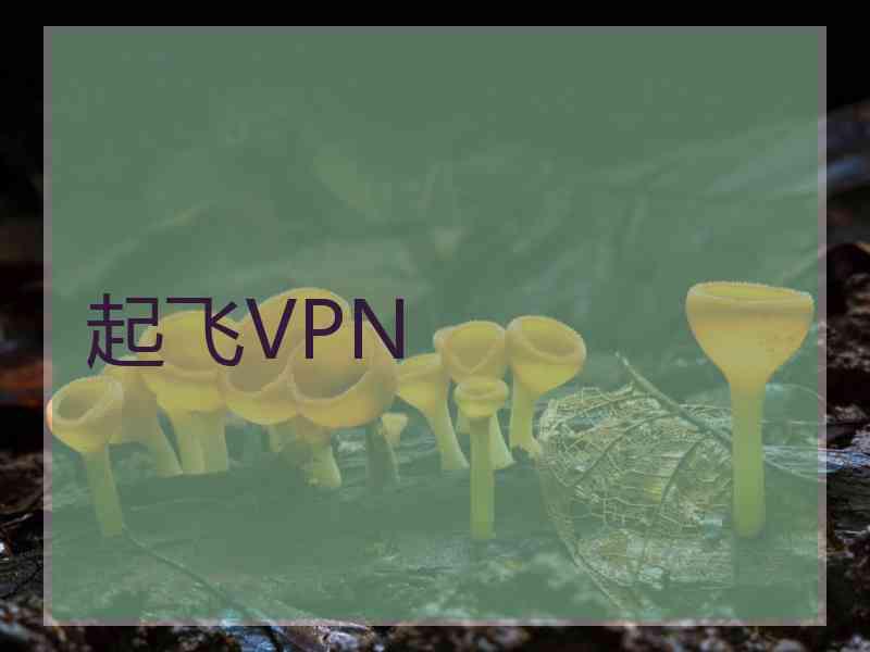 起飞VPN