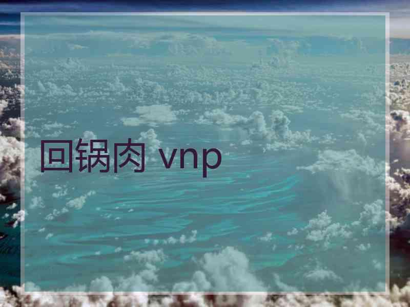 回锅肉 vnp