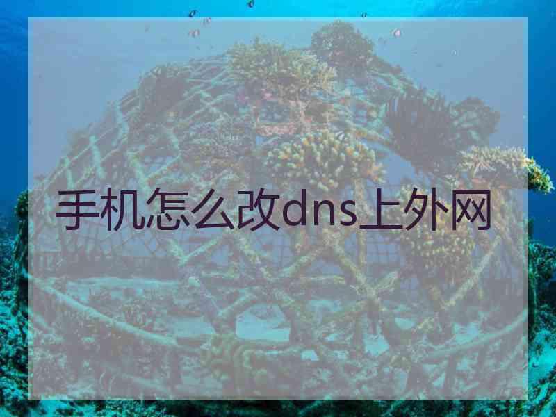 手机怎么改dns上外网