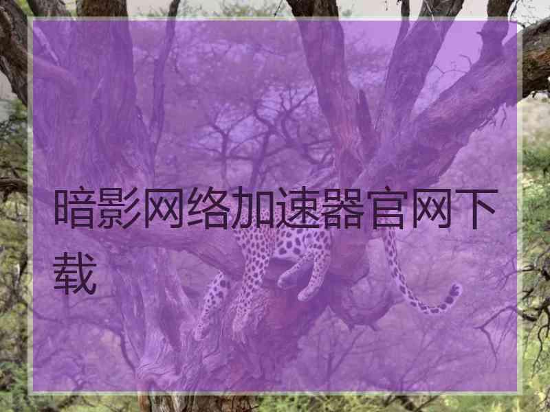 暗影网络加速器官网下载