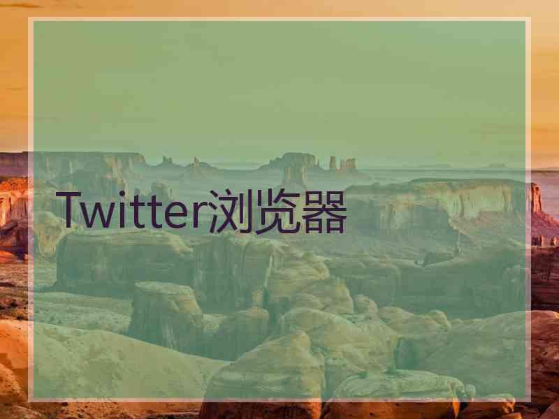 Twitter浏览器