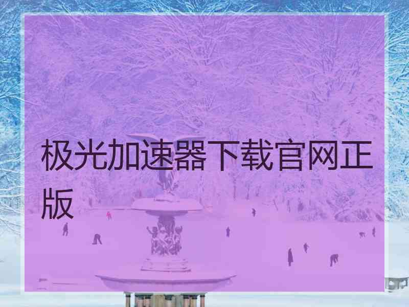 极光加速器下载官网正版