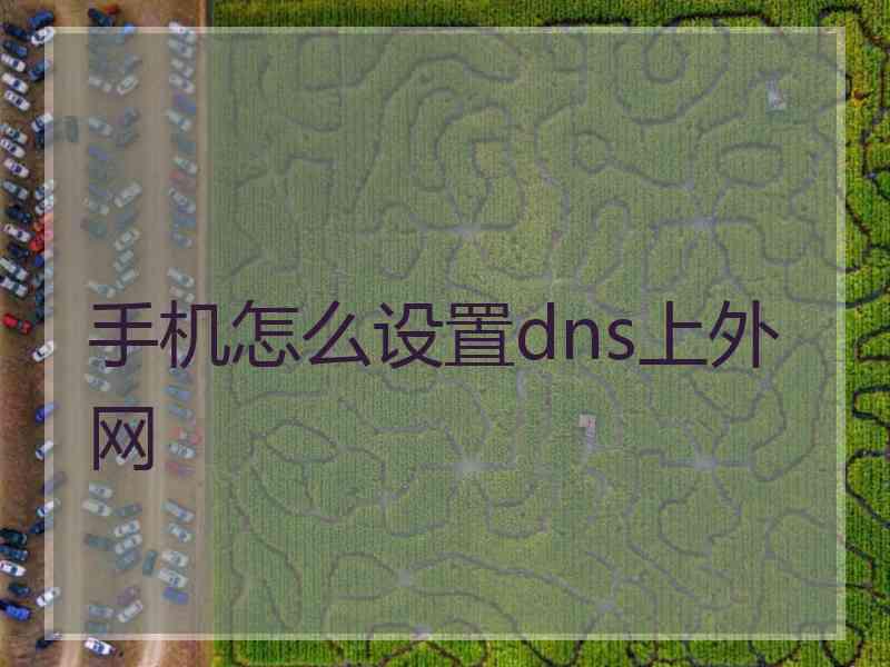 手机怎么设置dns上外网