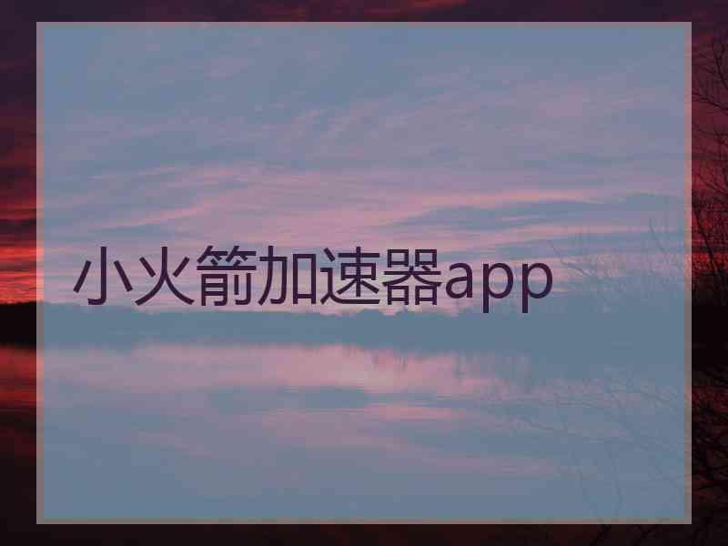 小火箭加速器app