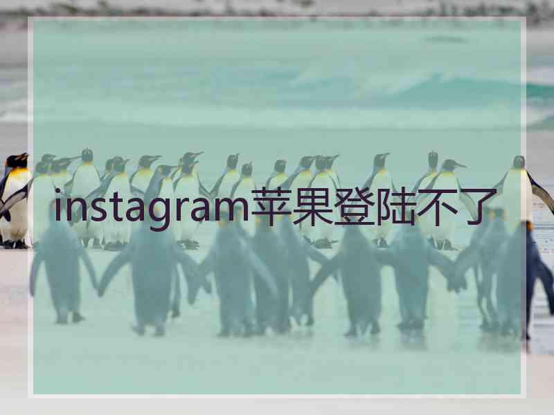 instagram苹果登陆不了